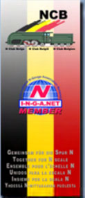 NCB drapeau INGANET.jpg
