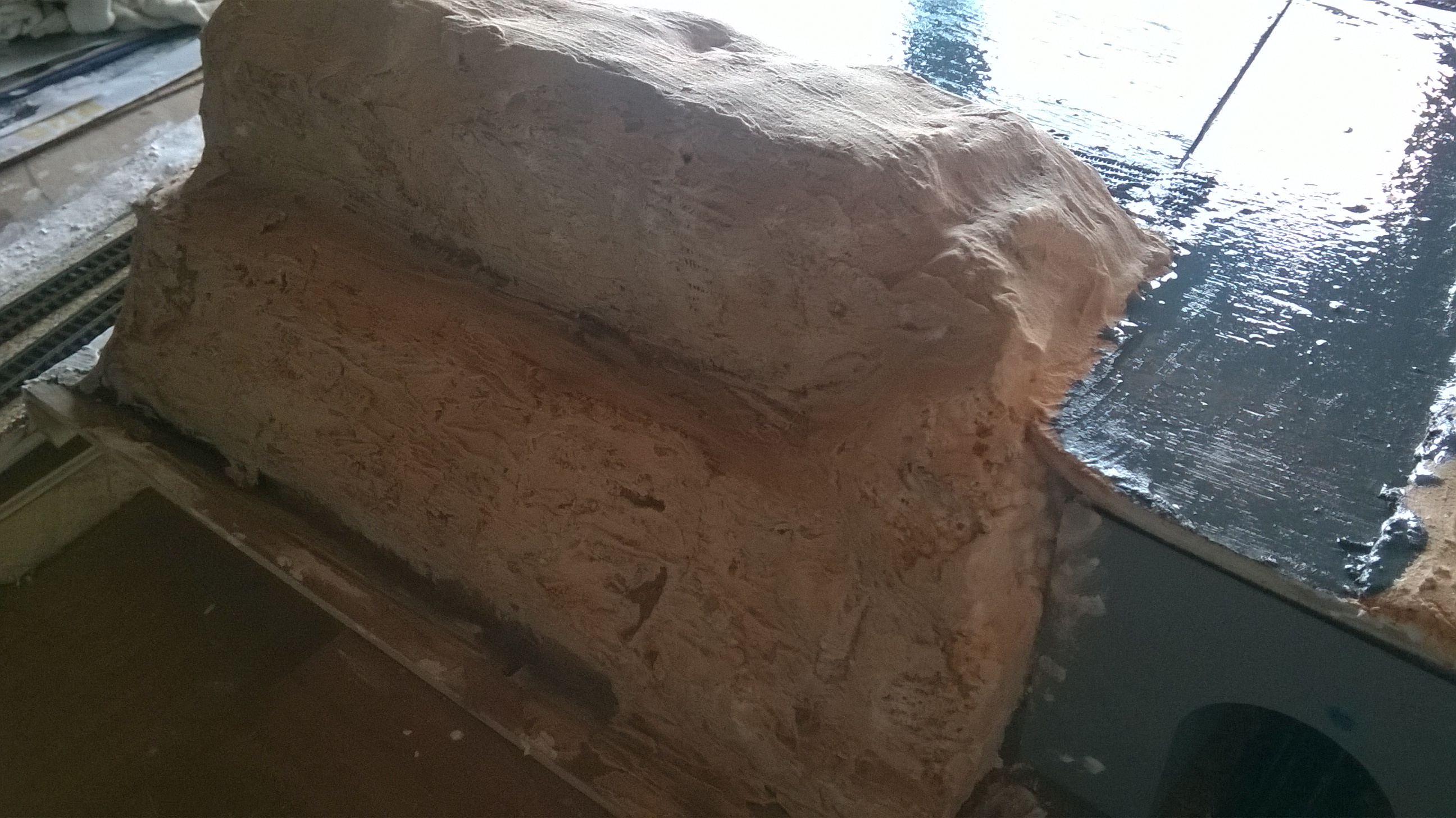 WP_20160906_006.jpg