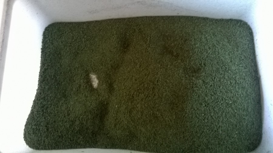 WP_20160928_005 (Copier).jpg
