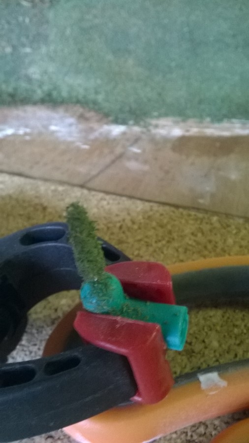 WP_20161002_003 (Copier).jpg
