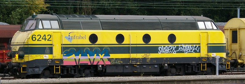 6242.jpg