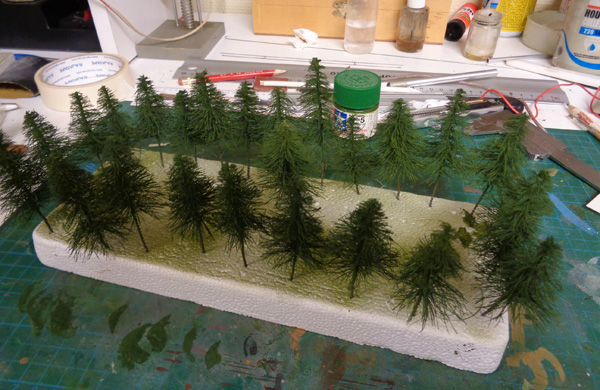 2014-11-14 Sapins (1b).jpg