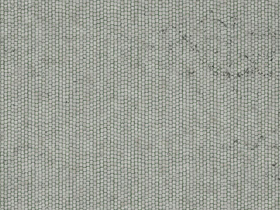 Paves 001b.jpg