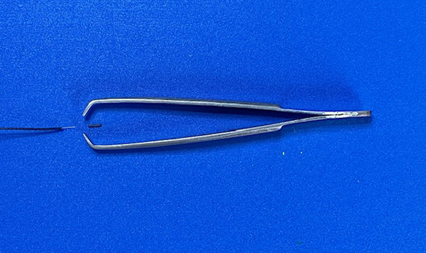 Mini pince à dénuder 001.JPG