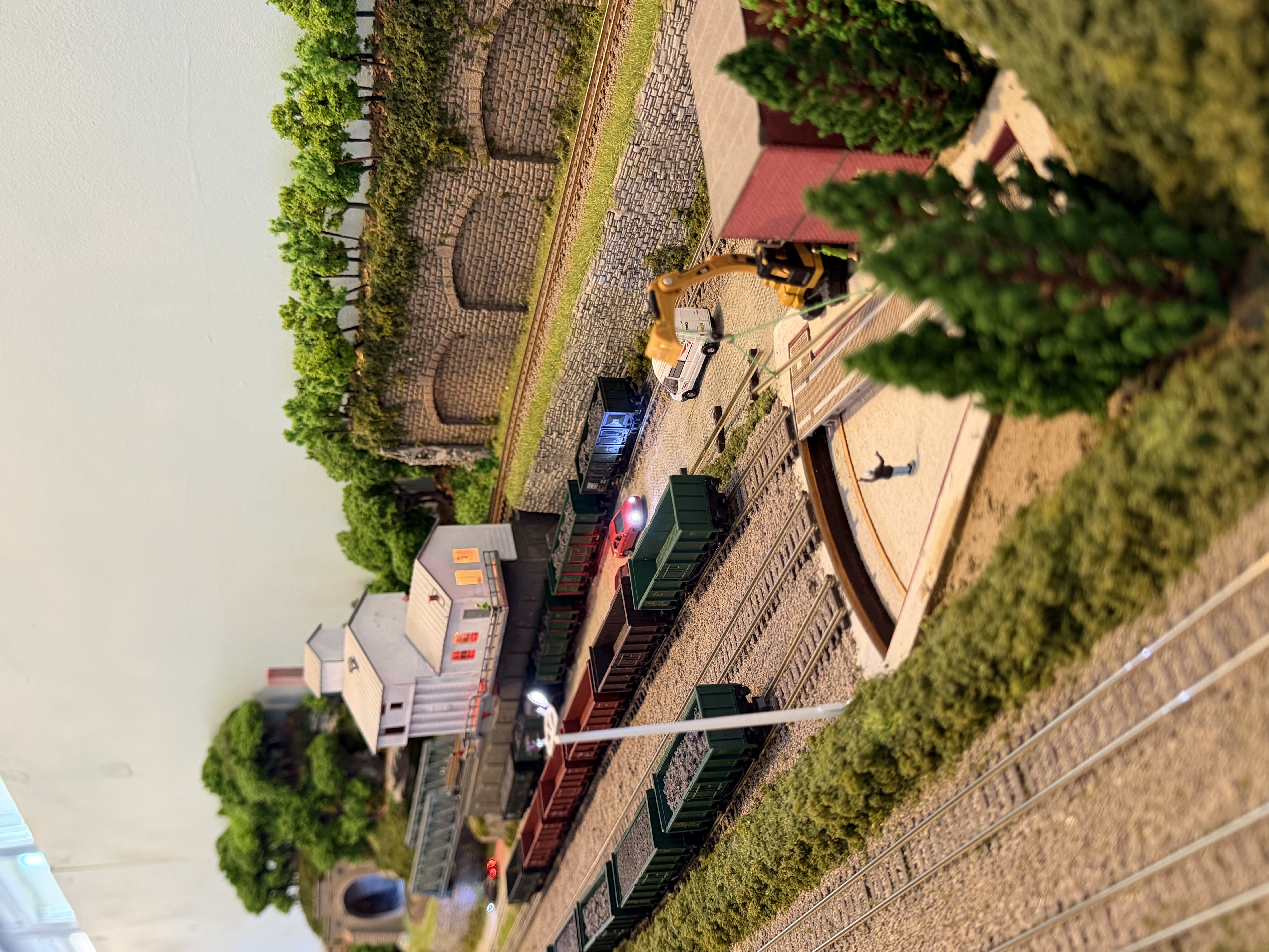 IMG_3785.jpeg
