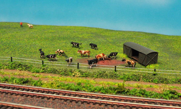 2015-02-08 (15b).jpg