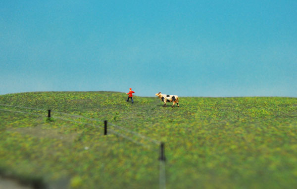 2015-02-08 (28b).jpg